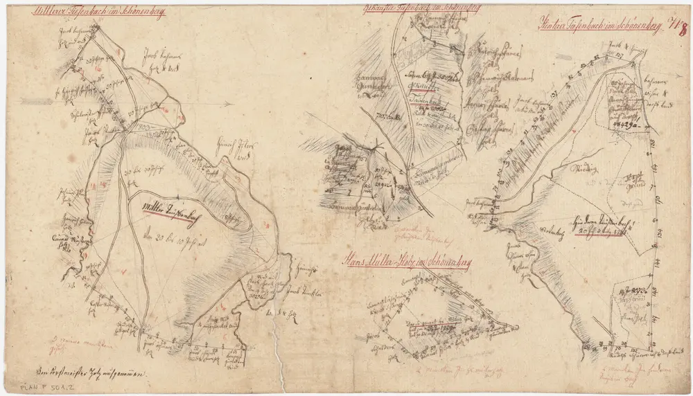 Schönenberg, Richterswil, Wädenswil: Staatswaldungen: Schönenberg: Teufenbach und Hans Müller-Holz; Grundrisse (Nr. 8)