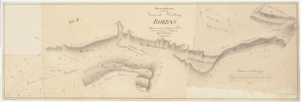 Rorbas, Bülach; Gemeindewaldung Rorbas: Rorbas: Auli, Tannholz, Breitirain (Breitenrain), Tiefert Riedt, Rihhalden (In der Rheinhalden), Im Moos; Grundriss (Tab. II)