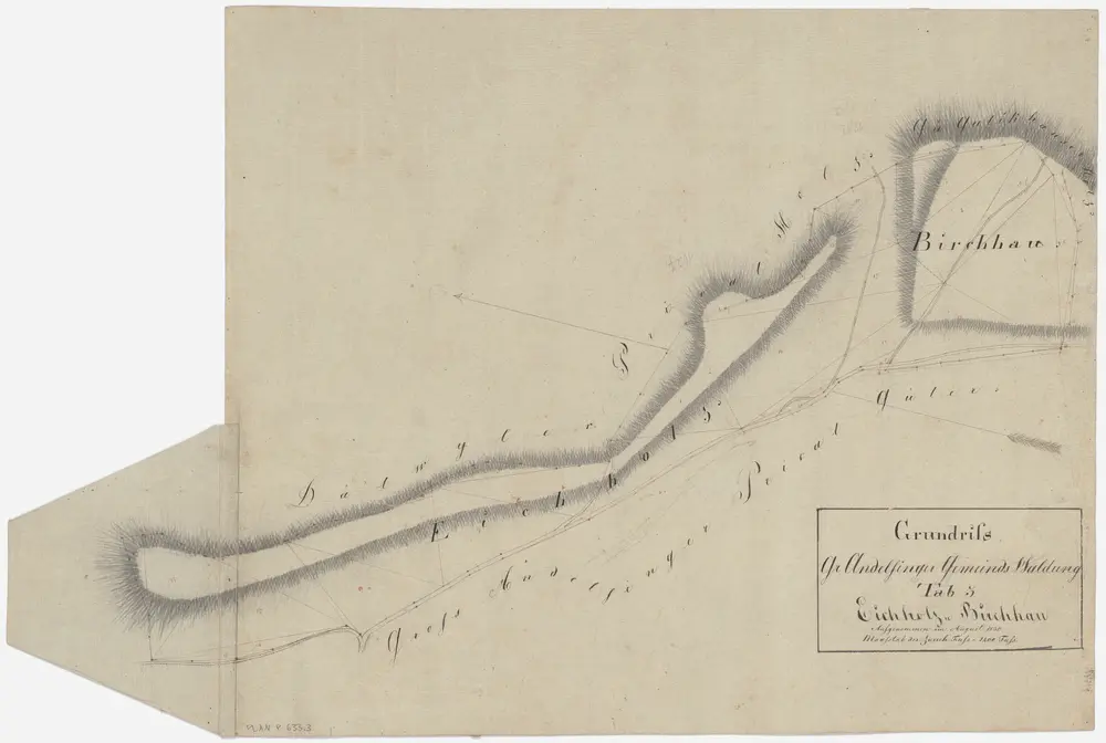 Andelfingen (damals Grossandelfingen): Gemeindewaldung: Eichholz, Birchhau; Grundriss (Tab. 5)