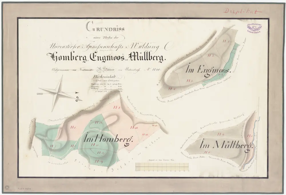 Nürensdorf: Gemeinde- und Genossenschaftswaldungen: Genossenschaftswaldungen Homberg, Engmoos, Mülberg (Müllberg); Grundrisse