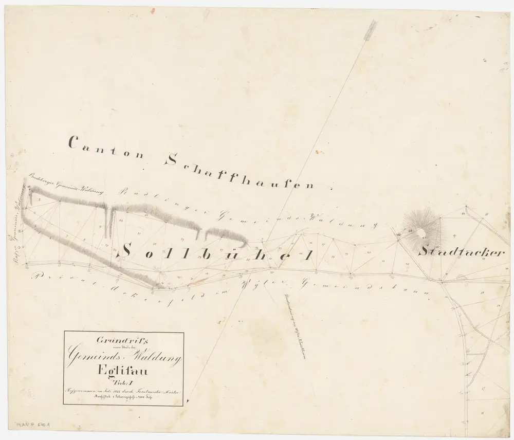 Eglisau, Hüntwangen: Gemeindewaldungen: Eglisau: Sollbüel (Sollbühel), Stadtacker; Grundriss (Tab. I)