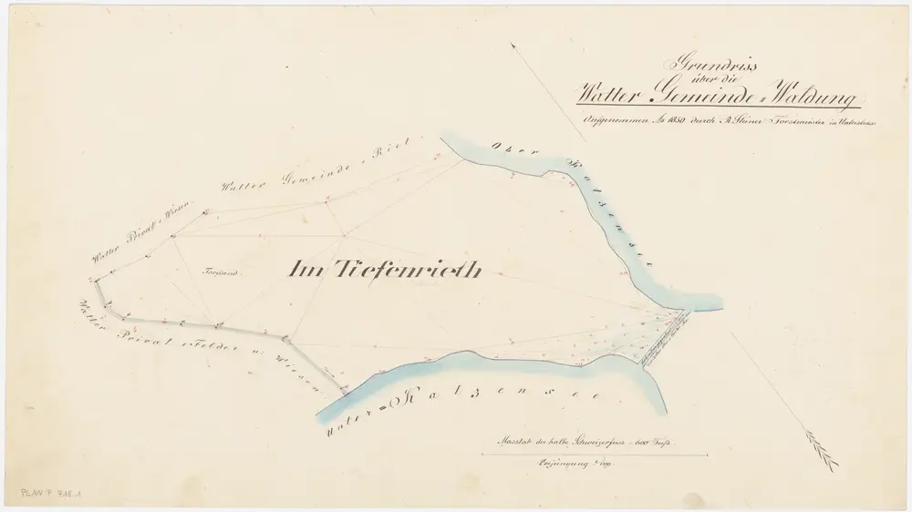 Regensdorf: Gemeindewaldung Watt: Tüfenriet (Tiefenrieth); Grundriss