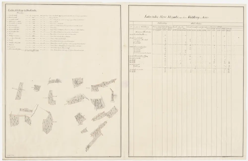 Dürnten: Dem Amt Rüti gehörende Lehenwaldung in Oberdürnten (II. Lehen); Grundrisse (XVI. Planche)