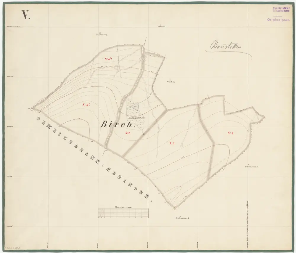 Bonstetten: Genossenschaftswaldung: Birchwald; Grundriss (Blatt V)