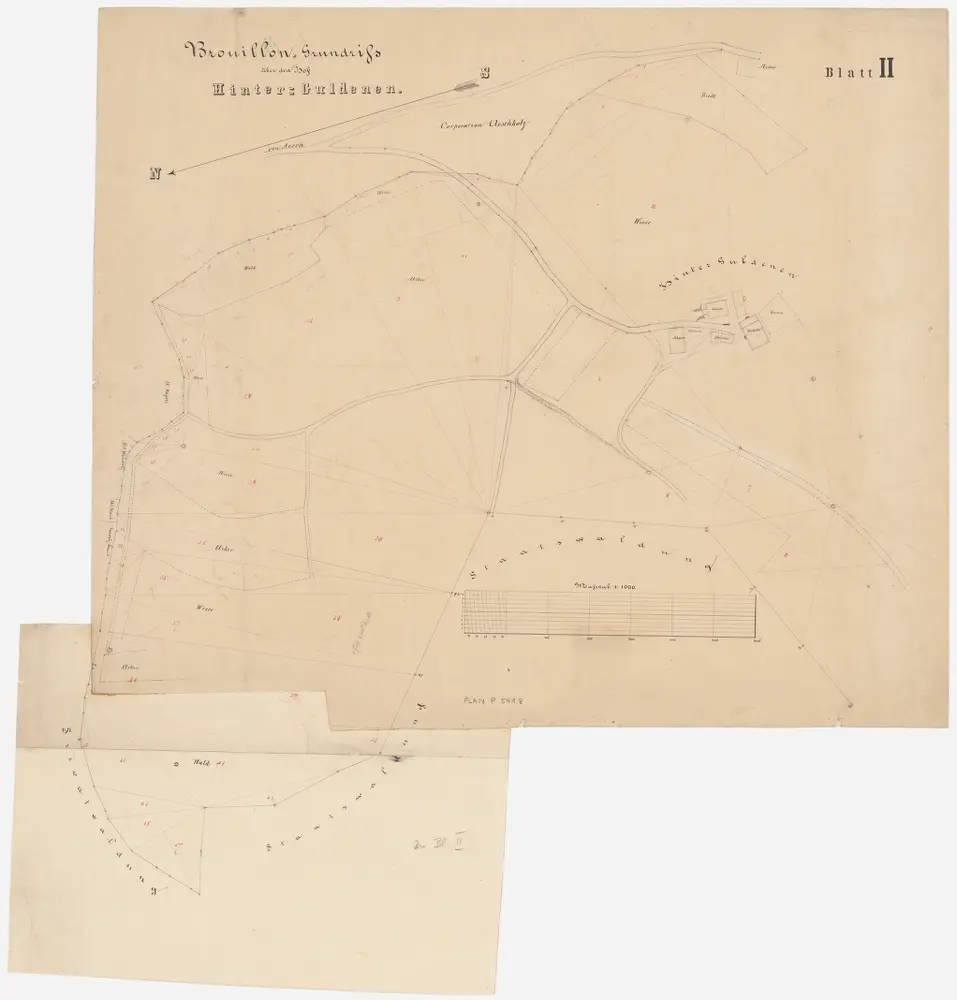 Maur, Herrliberg, Küsnacht, Egg: Staatswaldungen: Maur, Herrliberg, Küsnacht: Hinter Guldenen; Grundriss (Blatt II)