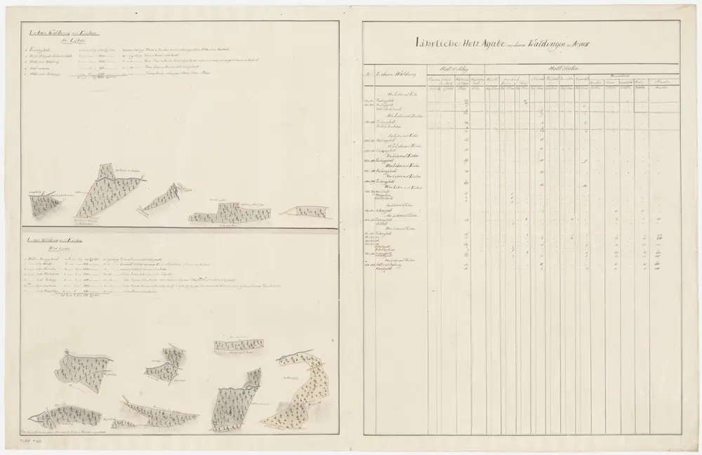 Rüti: Dem Amt Rüti gehörende Lehenwaldung auf Eichen (I. und II. Lehen); Grundrisse (IX. Planche)