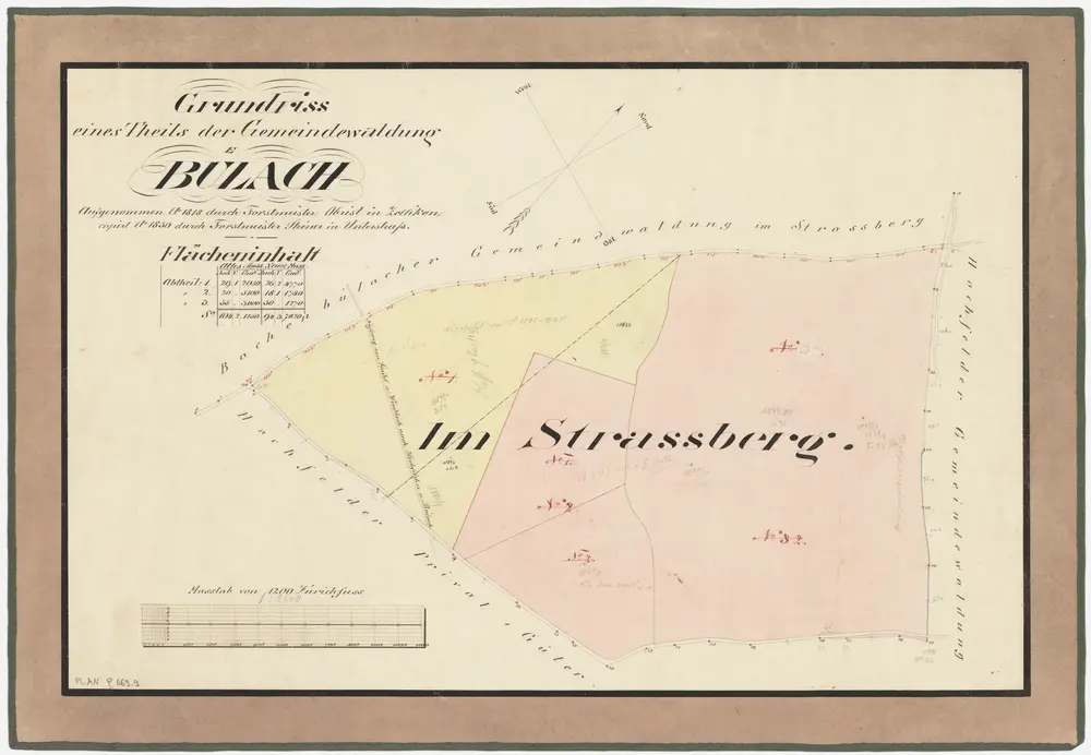 Bülach, Hochfelden: Gemeindewaldungen Bülach und Eschenmosen: Hochfelden: Gemeindewaldung von Bülach auf dem Strassberg; Grundriss