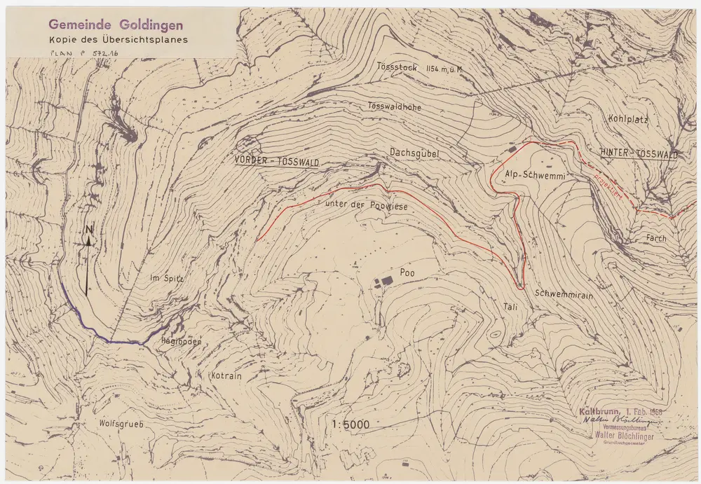 Fischenthal, Goldingen SG: Waldungen: Goldingen SG: Boalp (Poo), Schwämi (Schwemmi), Tösswald, Wolfsgrueb, Chot (Kotrain), Ferch (Färch); Grundriss