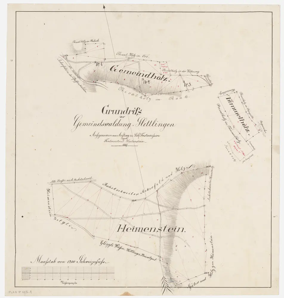 Hettlingen: Gemeindewaldung: Gmeindholz (Gemeindeholz), Tümelholz (Tümmelholz), Heimenstein; Grundrisse