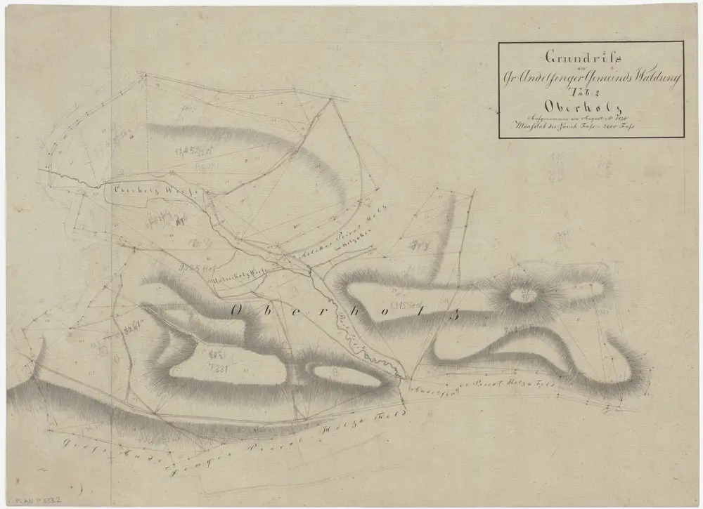 Andelfingen (damals Grossandelfingen): Gemeindewaldung: Oberholz; Grundriss (Tab. 2)