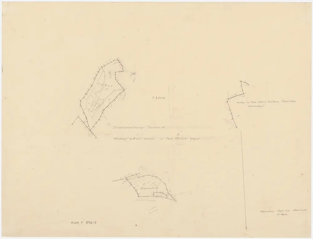 Turbenthal: Staats- und Privatwaldungen: Durch den Staat angekaufte Grundstücke in Tobel von Witwe Anna Wirt, in Neubrunn, und in Ramsberg von Jakob Stutz, in Neugrüt, sowie durch die Leihkasse Eschlikon angekauftes Grundstück in Ta (Thaa); Grundrisse