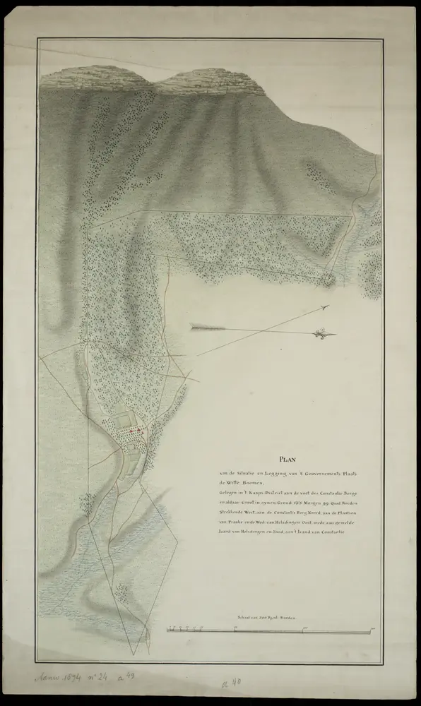Plan van de situatie en legging van 's Gouvernements plaats de Witte Boomen, gelegen in 't Kaapdistrict aan de voet des Constantie bergs.