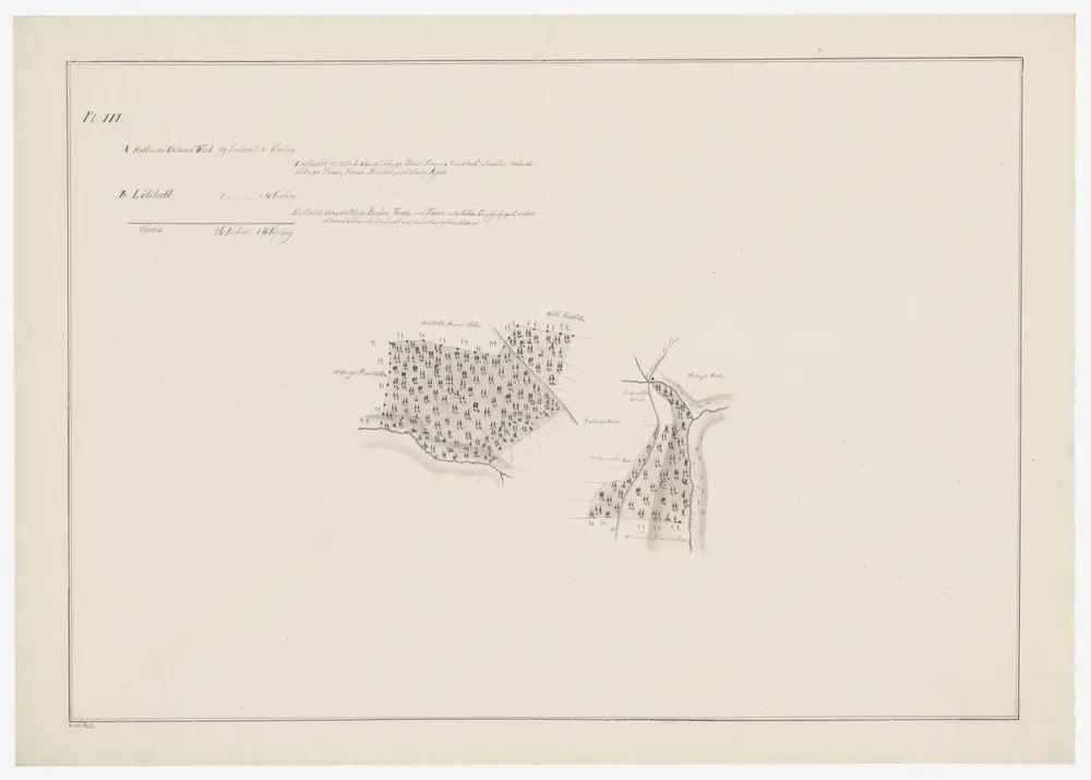 Weinfelden TG: Waldungen in der unteren Waid und Löliholz; Grundriss (Plan III)