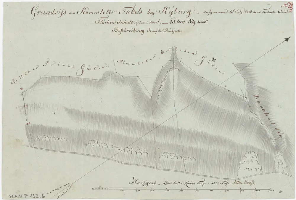 Kyburg, Töss, Illnau-Effretikon (damals Illnau), Schlatt: Staatswaldung: Kyburg: Chämletertobel (Kämmleter Tobel); Grundriss (Nr. 20 a)