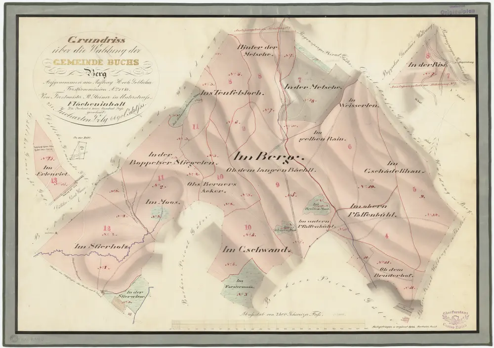 Buchs: Gemeindewaldung: Berg mit Stierholz, Moos, Gschwand, Bernetsacker (Obs Berners Acker), Tüfelsloch (Teufelsloch), Mötschen (Metsche), Risi, Im gälen Rain (Im gelben Rain), Bruederhof, Pfaffenbüel, Maas (Forstermoos), Gstädelihau (Gschädelihau), Erlenriet; Grundrisse