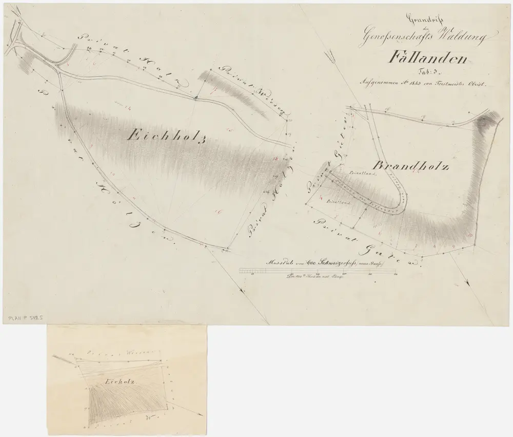 Fällanden: Gemeinde- und Genossenschaftswaldungen: Genossenschaftswaldungen Eichholz, Brandholz; Grundrisse (Tab. 3)