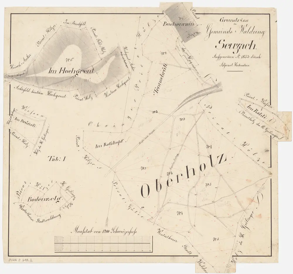 Seuzach: Gemeindewaldung: Oberholz, Buchenrain, Tänschrüti (Tennschrüti), Rosskopf, Rolli (Im Rohli), Hochgrüt-Scheidegg (Hochgreut), Im Brünneli, Bodenzelg; Grundrisse