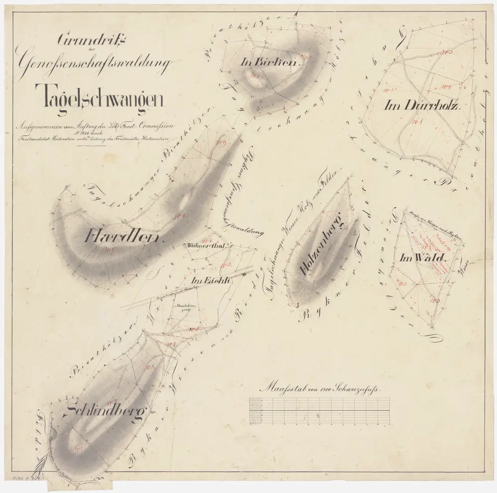 Lindau: Genossenschaftswaldung Tagelswangen: Herdlen (Härdlen), Schlimperg (Schlindberg), Eichli, Kiesgrube, Widmertal (Widmerthal), Birch (Birken), Holziberg (Holzenberg), Dürrholz (auch Türholz), Wald; Grundrisse