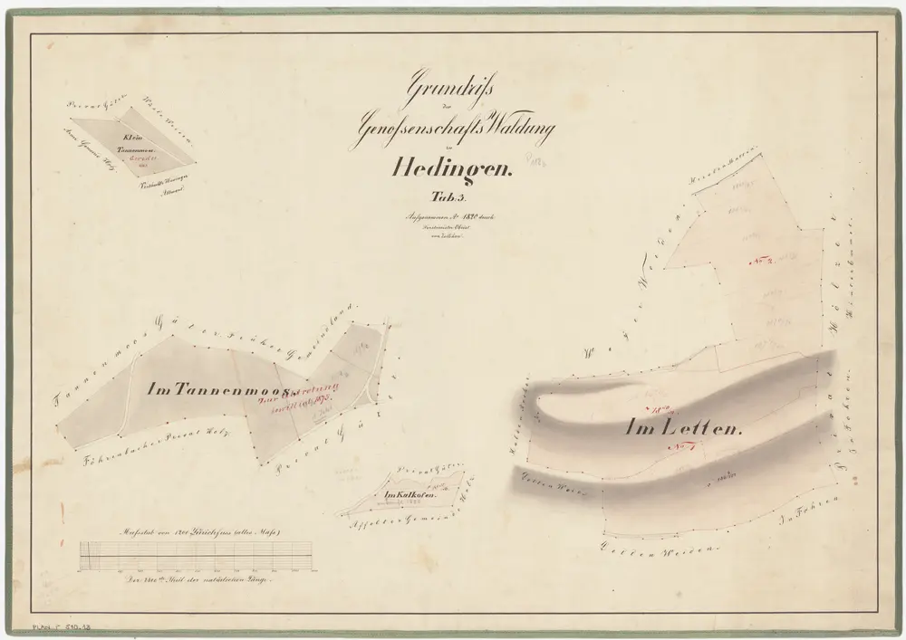 Hedingen: Gemeinde- und Genossenschaftswaldungen: Genossenschaftswaldungen Chalofen, Tannenmoos, Lättenhau; Grundrisse (Tab. 3)