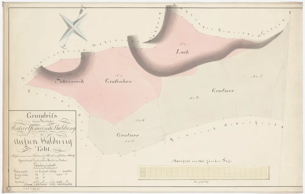 Rafz, Jestetten (Deutschland), Lottstetten (Deutschland): Gemeindewaldung Rafz: Rafz: Äussere Waldung mit Loch, Gentner, Grafenhau, Sebers Rein (Sebersreih); Grundriss (Tab. I)