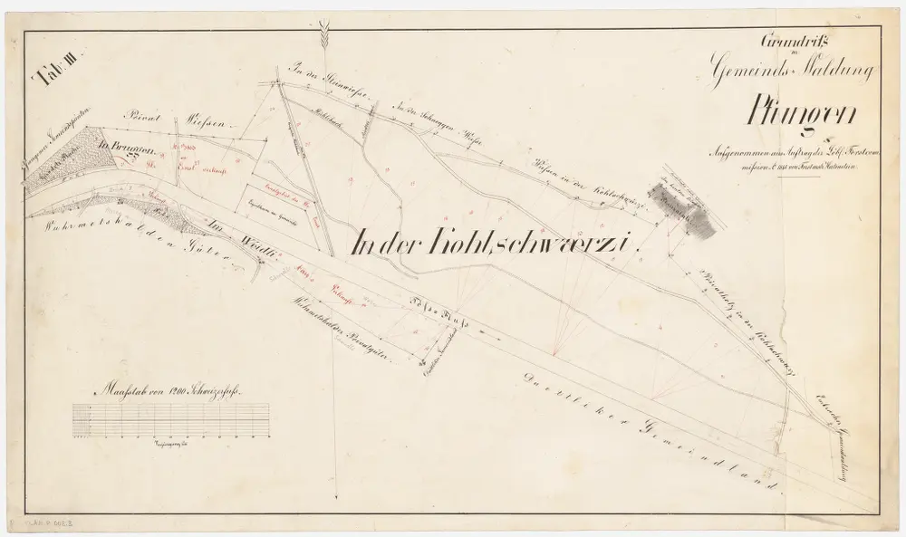 Pfungen: Gemeindewaldung: Cholschwärzi, Blanenrainli (Plaurainli), Bruggen; Grundriss (Tab. III)