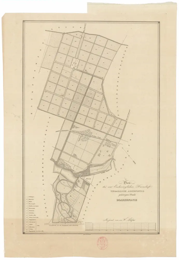 Plan des zur erzherzoglichen Herrschaft Ungarisch Altenburg gehörigen praedii Marienaue