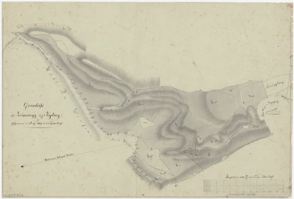 Kyburg, Töss, Illnau-Effretikon (damals Illnau), Schlatt: Staatswaldung: Kyburg: Leimenegg; Grundriss (Nr. 19)