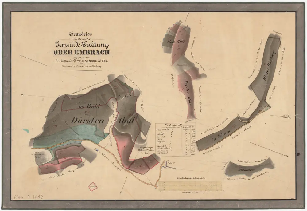 Oberembrach: Gemeindewaldungen Böl (Im Bühl), Loch, Dürstental (Dürstenthal), Holzrüti, Vorderholz, Müsen (In Mäusen), Hinterrüti (Hinter Rütiberg), Mülistatt (Mühlistatt); Grundrisse