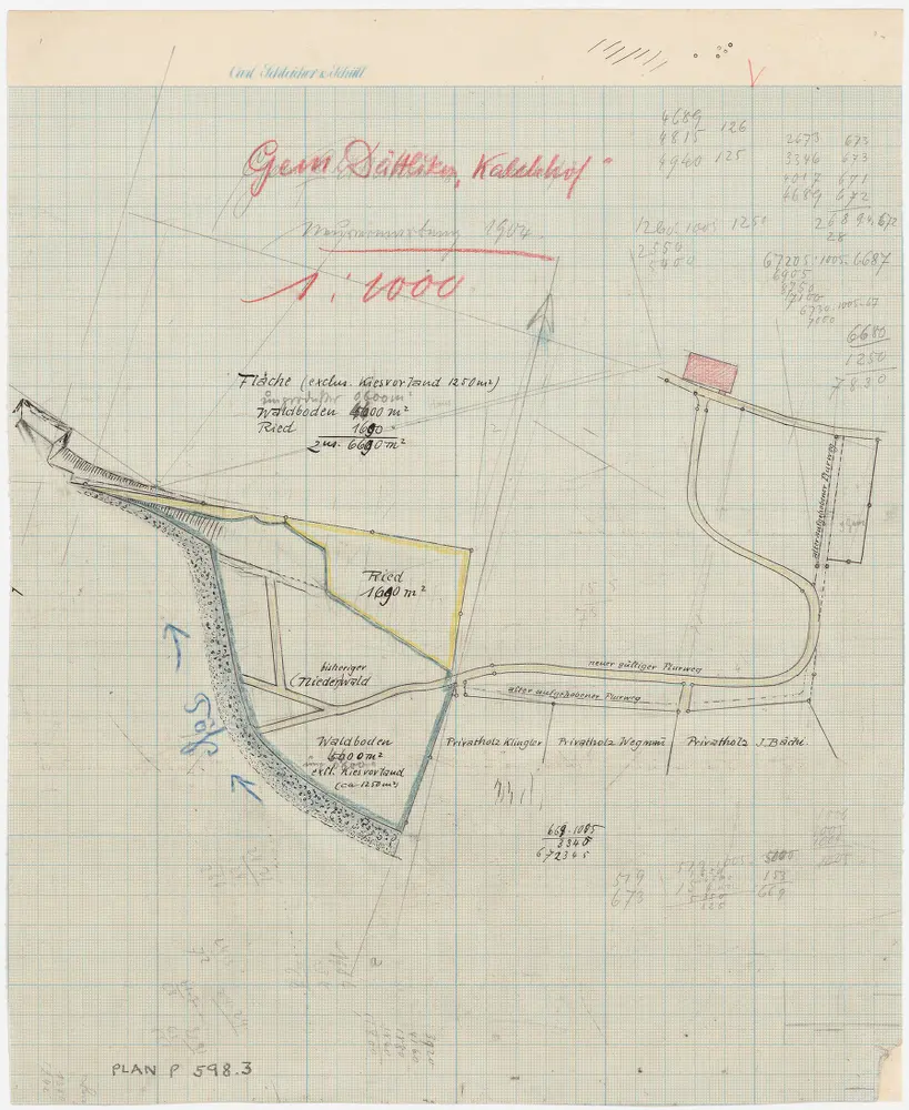 Dättlikon: Gemeindewaldung: Chalchhof (Kalchhof), Ried; Grundriss