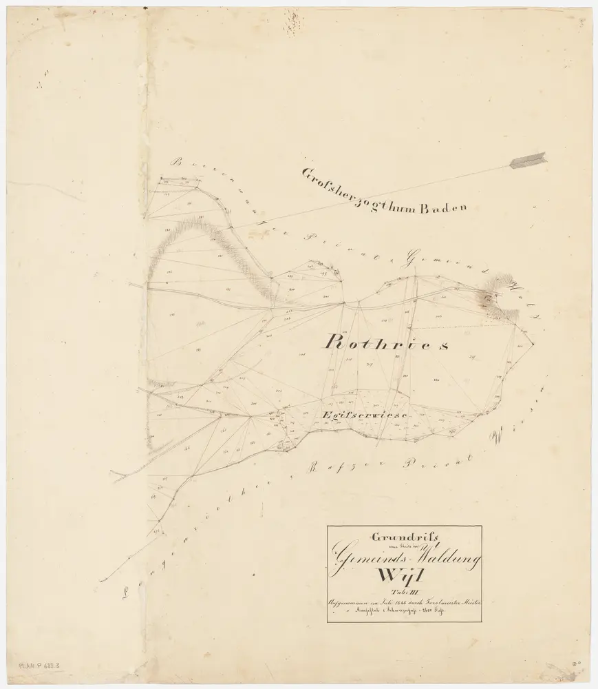 Wil: Gemeinde-, Genossenschafts- und Privatwaldungen: Wil: Gemeindewaldungen Rotriss (Rothries), Egisserwiese; Grundriss (Tab. III)