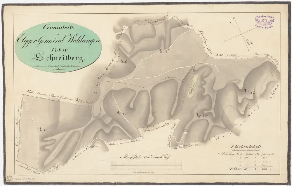 Elgg: Gemeindewaldung: Schneitberg; Grundriss (Tab. IV)