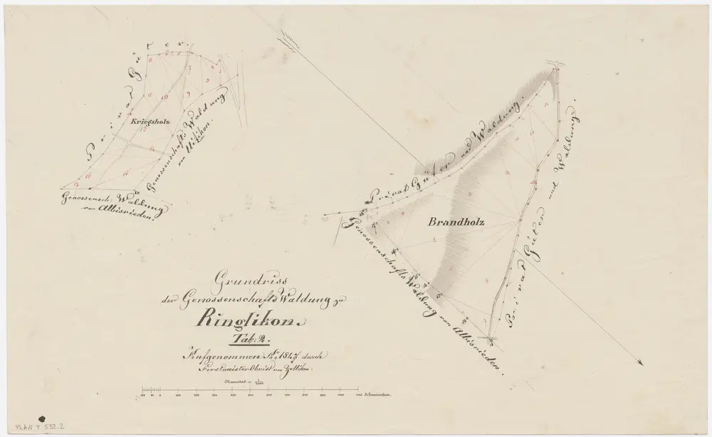 Uitikon: Genossenschaftswaldung Ringlikon: Chriegholz (Kriegsholz), Brand (Brandholz); Grundrisse (Tab. 2)