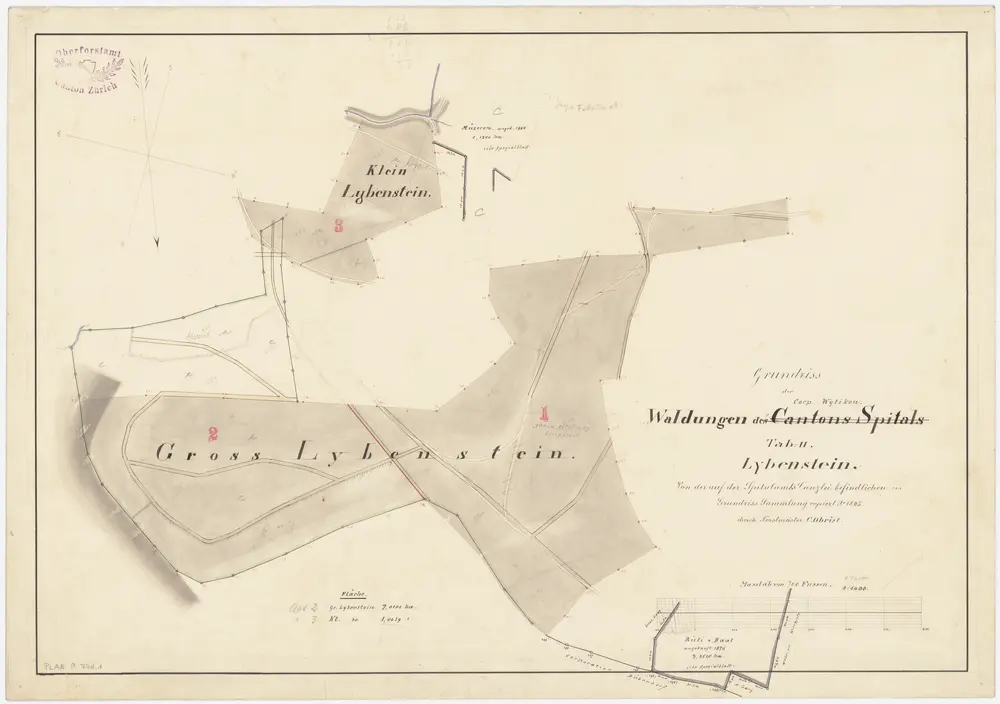 Witikon: Spital- und Genossenschaftswaldungen: Spitalwaldungen bzw. Genossenschaftswaldungen Gross Lybenstein und Klein Lybenstein; Grundriss (Tab. II)