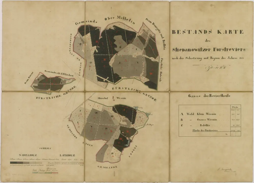 Porostní mapa polesí Štěpánovice 1