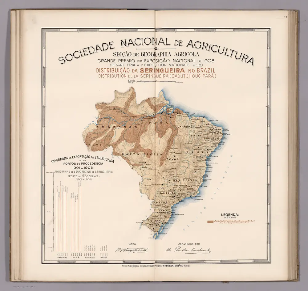 Distribuicao da seringueira no Brazil