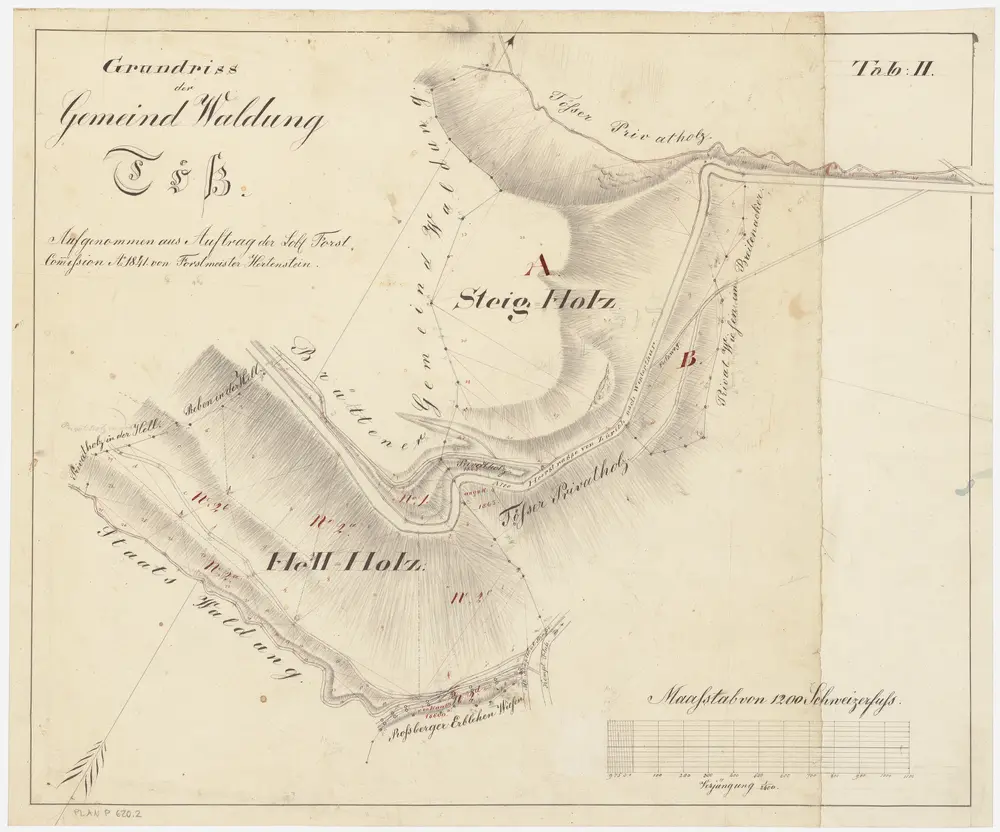 Töss: Gemeinde- und Genossenschaftswaldungen: Gemeindewaldungen Steigholz, Hellholz; Grundriss (Tab. II)