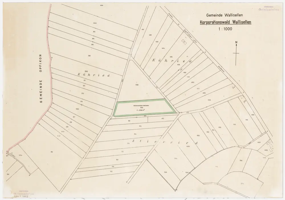 Wallisellen: Gemeinde- und Genossenschaftswaldungen: Genossenschaftswaldung zwischen Chüeried und Stierriet (Kataster-Nr. 1009); Grundriss