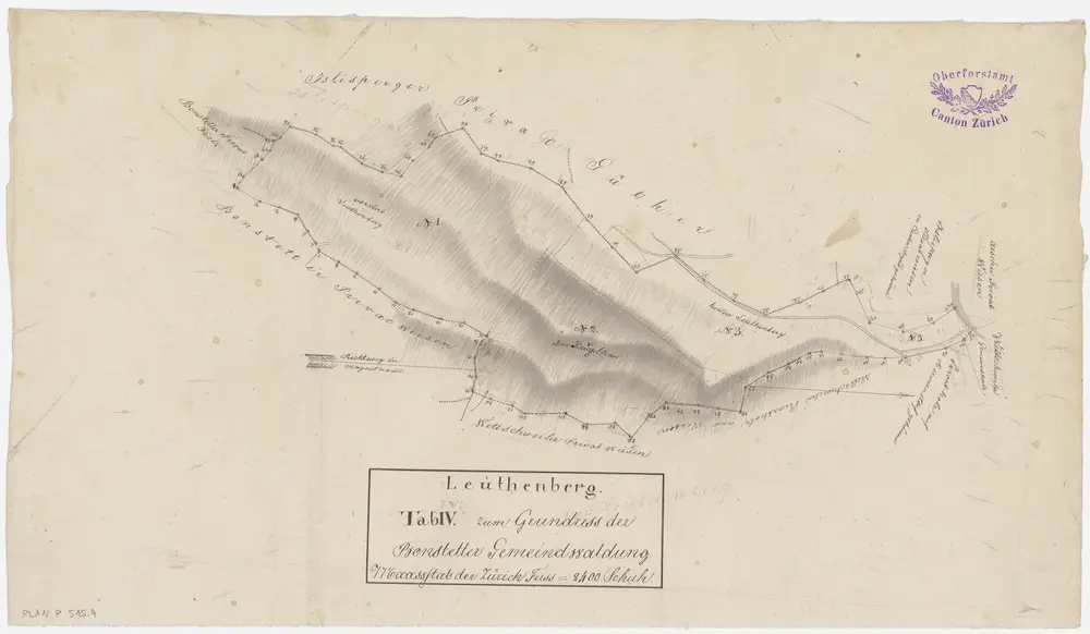 Bonstetten: Gemeinde- und Genossenschaftswaldungen: Gemeindewaldung Lüttenberg (Leuthenberg); Grundriss (Tab. IV)