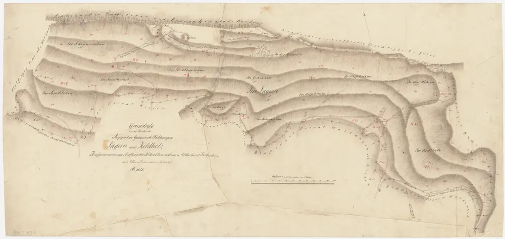 Boppelsen: Gemeindewaldung: Buechboden, Schrannenhau, Fürstenbuck (Im Feursteinbuck), Wachthüslihau (Wachthäuslihau), Hangrüti (Hängrüti), Lägern, Riseli, Stäffetenhau (Steffetenhau), Lochmoos, Wackern (Wäkern), Cholholz (Kohlholz); Grundriss