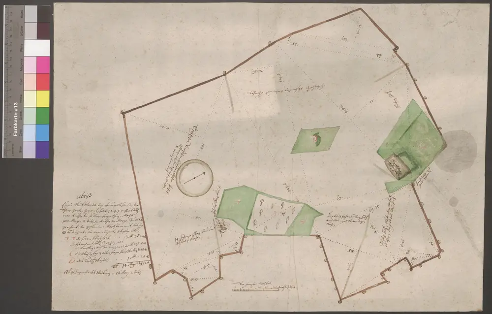 HZAN GA 100_Nr. 166_ : Jungholzhausen (Kr. Schwäbisch Hall); "Abriß eines Stück Waldes bei Jungholzhausen, der Tiergarten genannt";ohne Verfasser;30 Ruten = 6,2 cm;57,5 x 41 cm; Norden rechts;Pappe; Tusche; Waldwiesen in Wasserfarben; Einteilung in Dreiecke zur Vermessung.