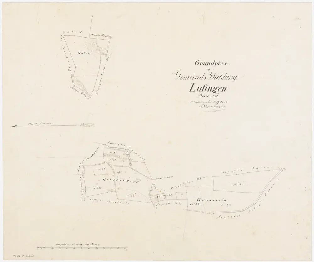 Lufingen: Gemeindewaldung: Rüteli, Gelsberg (Gelsperg), Forbuck (Forrbuck), Grosszelg; Grundrisse (Blatt 3)