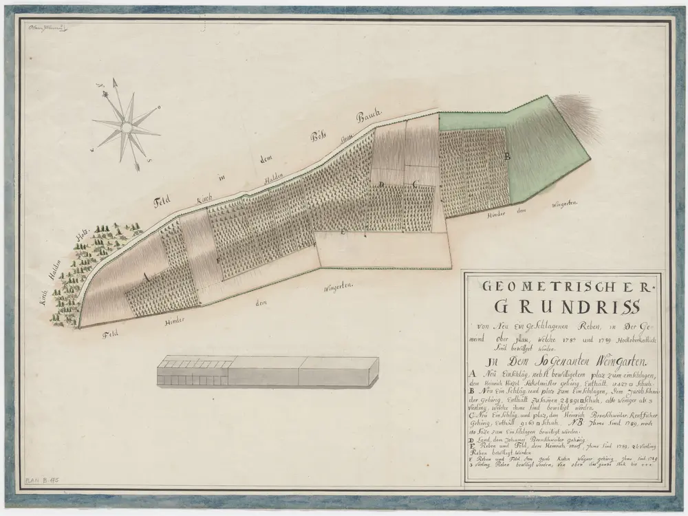 Illnau-Effretikon: Von der Regierung im Jahr 1787 und 1789 bewilligte neue Reben in Oberillnau; Grundriss