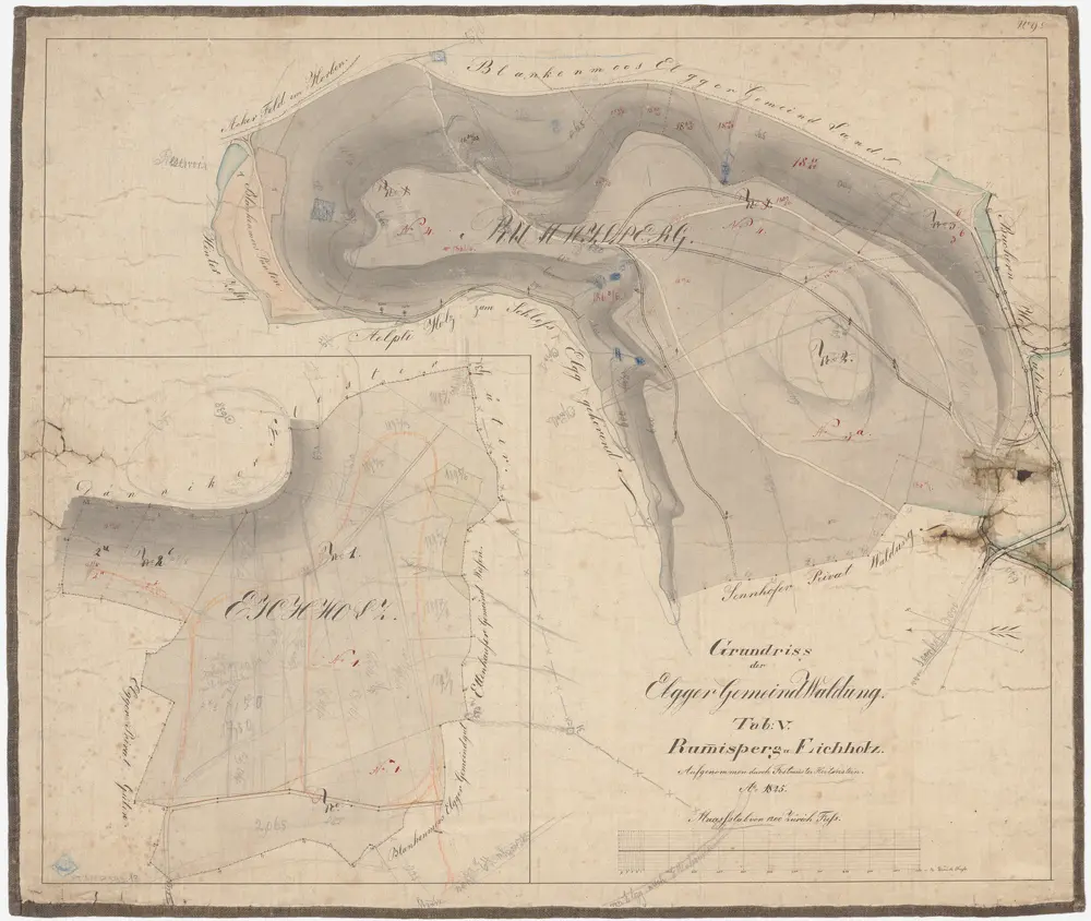 Elgg: Gemeindewaldung: Rumisberg (Rumisperg), Eich; Grundrisse (Tab. V)
