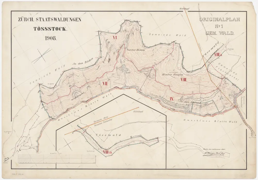 Wald, Fischenthal, Goldingen SG: Waldungen: Wald: Staatswaldung Tössstock; Grundriss (Originalplan Nr. 1)