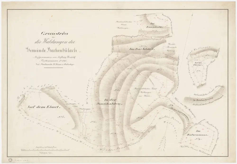 Bachenbülach: Gemeindewaldung: Auf dem Ebnet, Sunnhalden (In der Sonnhalden), Im Bachtobel, Im Bannholz, Auf der Ebene, Brueder (In Bruderforren), Rotzimoos (Im Rotzenmoos); Grundrisse