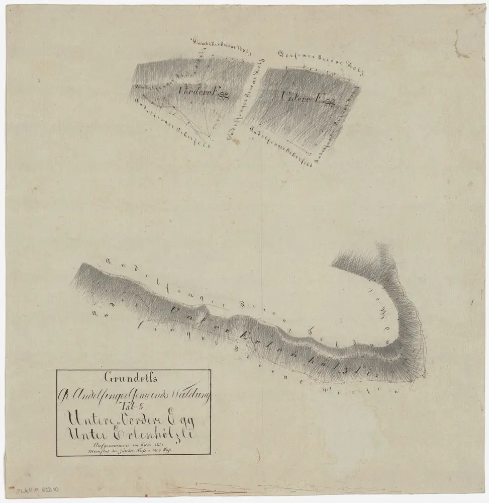 Andelfingen (damals Grossandelfingen): Gemeindewaldung: Unteri und Vorderi Egg, Unteres Erlenhölzli; Grundrisse (Tab. 8)