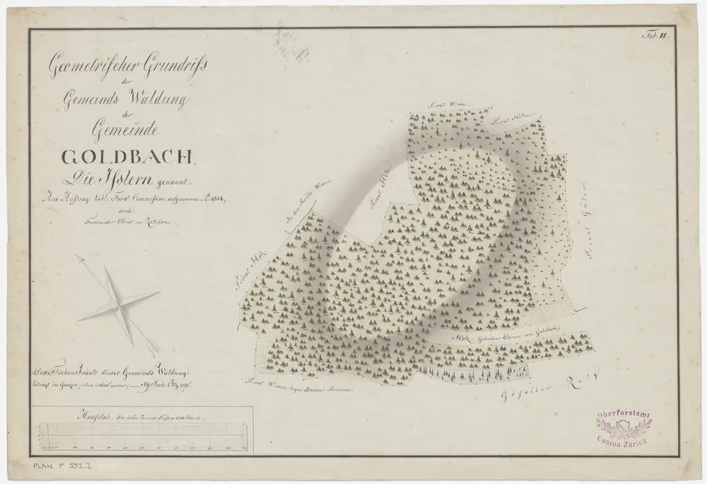 Küsnacht, Zumikon: Gemeinde- und Genossenschaftswaldungen Goldbach: Zumikon: Goldbacher Gemeindewaldung Isleren; Grundriss