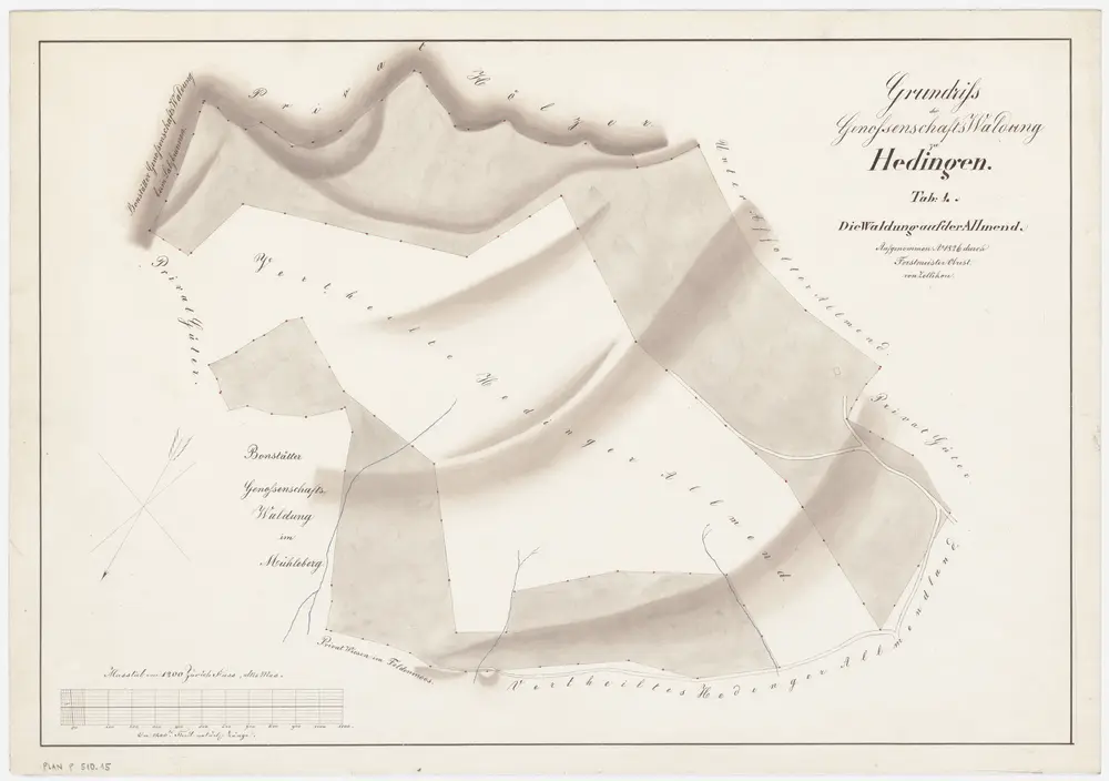 Hedingen: Gemeinde- und Genossenschaftswaldungen: Genossenschaftswaldung Allmend; Grundriss (Tab. 4)