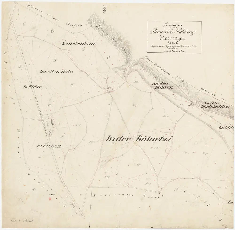 Hüntwangen: Gemeindewaldung: Eichlihau, Chüesetzi (In der Kühsetzi), Eichen, Altholz (Im alten Holz), Bauelhau (Bauelenhau), Rihalden (An der Rheinhalden), Halden; Grundriss (Tab. II)