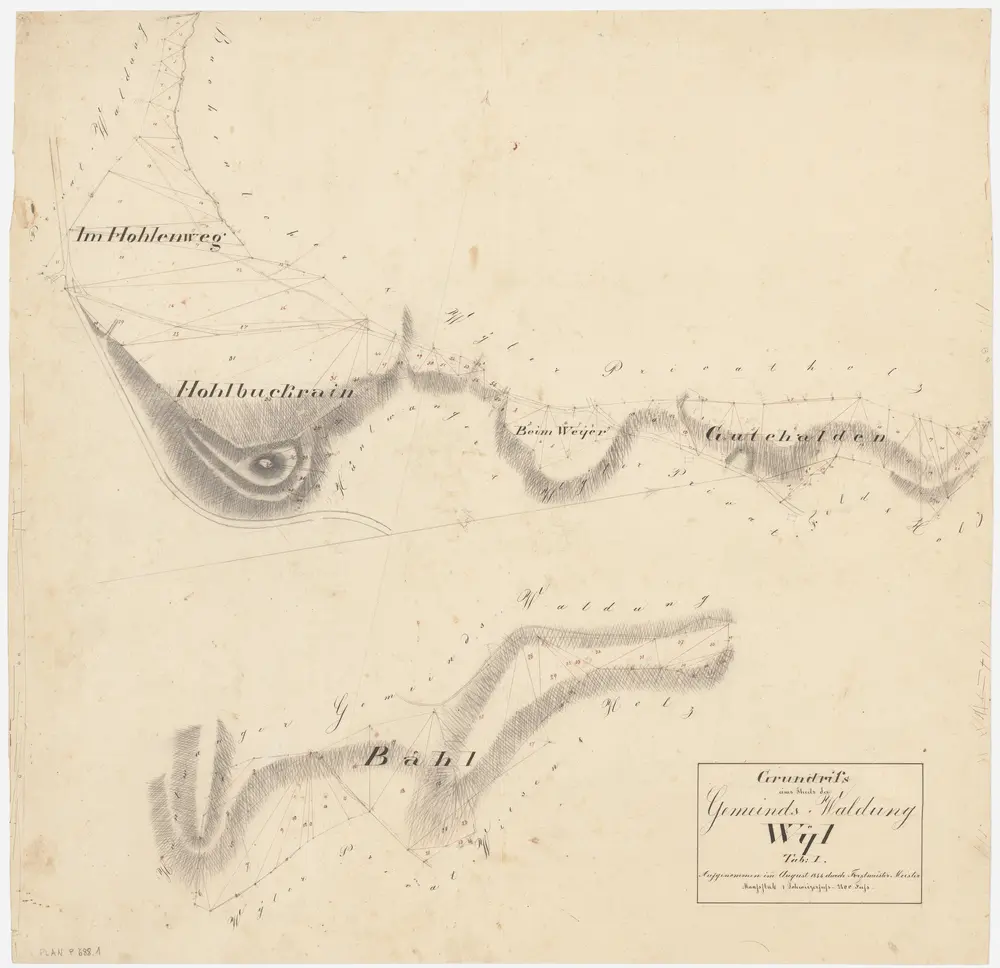 Wil: Gemeinde-, Genossenschafts- und Privatwaldungen: Wil: Gemeindewaldungen Holenweg (Im Hohlenweg), Holbuckrain (Hohlbuckrain), Weier (Beim Weyer), Guetihalden (Gutehalden), Bäl (Bähl); Grundrisse (Tab. I)